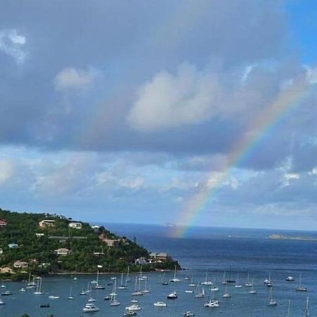 Immaculate Ocean Views Above The Westin Resort - Large Deck Cruz Bay Exterior foto